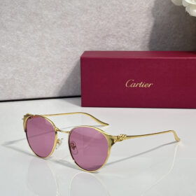 Cartier CT0631S sunglasses
