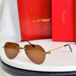 Cartier CT0629S sunglasses