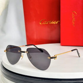 Cartier CT0629S sunglasses