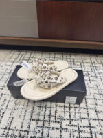 havaianas X isabel marant